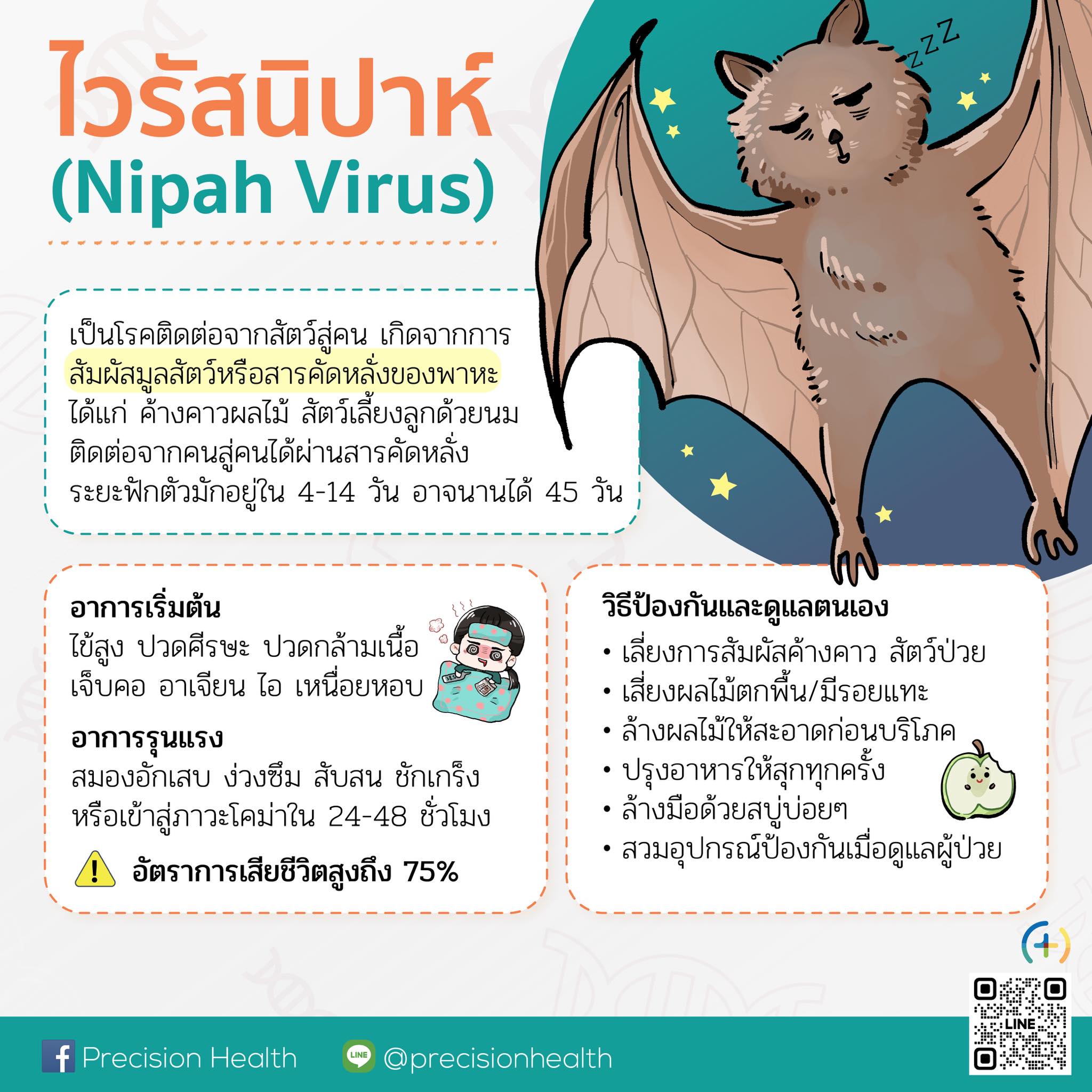 Nipah virus ไวรัสนิปาห์